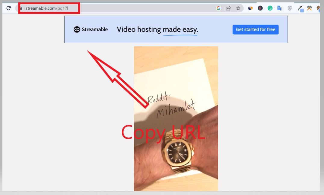 7 Easy Methods to Download Streamable Videos with One Click