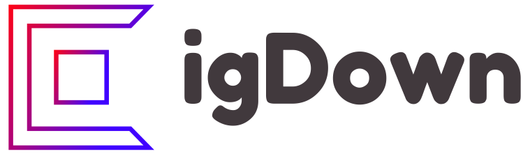 igDown logo